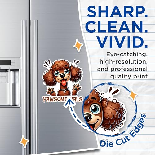 (2 Pack) Adorable Poodle Dog Magnets - Cute Cartoon Pet Magnets - Animal Lover Fridge Magnets- 5" On Longest Side - for Fridges, Toolboxes, Cars - Made in USA - MAG2821