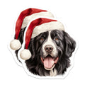 (2 Pack) Bernese Mountain Dog Magnets - Christmas Dog Decor - Holiday Pet Lover - Santa Hat Canine Art - 5 Inches On Longest Side - Thick Durable Magnet - Made in USA - MAG29281