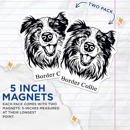 (2 Pack) Border Collie Magnets - Dog Lover Magnets - Pet Magnets - 5" On Longest Side - for Cars, Fridges, Toolboxes - Made in USA - MAG4023