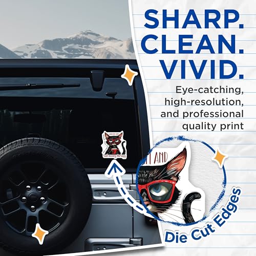(2 Pack) Sarcasm and Attitude Stickers - Cat Lover Decal - Funny Black Cat Sticker - 5" On Longest Side - Sticks to Smooth Flat Surfaces - Made in USA - BMCS4334