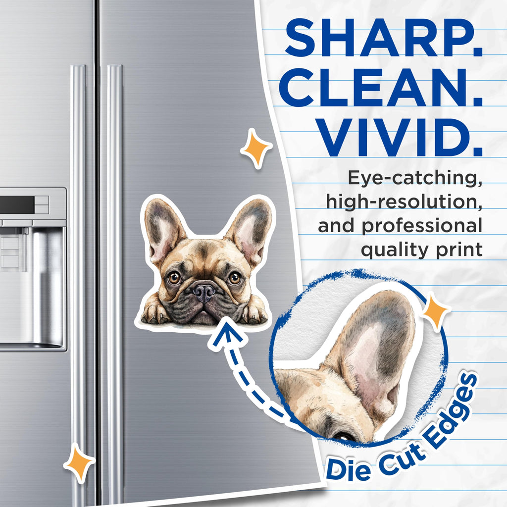 (2 Pack) French Bulldog Magnets - Adorable Dog Art - Home Decor Accent - 5" On Longest Side - Premium Magnet - for Cars, Refrigerators, Toolboxes, Lockers - Made in USA - MAG15451