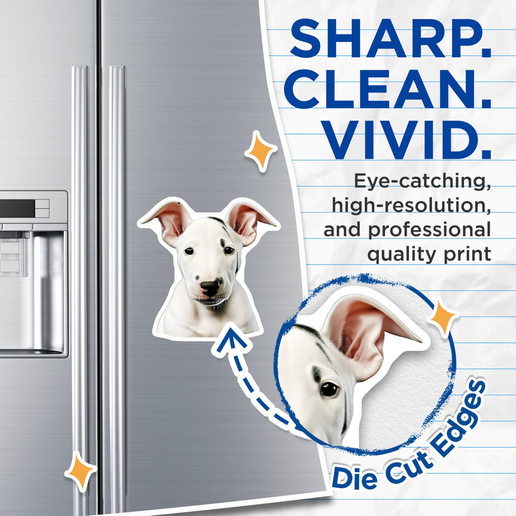 (2 Pack) Bull Terrier Puppy Magnets - Cute Dog Decor - Pet Owner Present - Refrigerator Whiteboard Accent - 5 Inches On Longest Side - Thick Durable Magnet - Made in USA - MAG29996