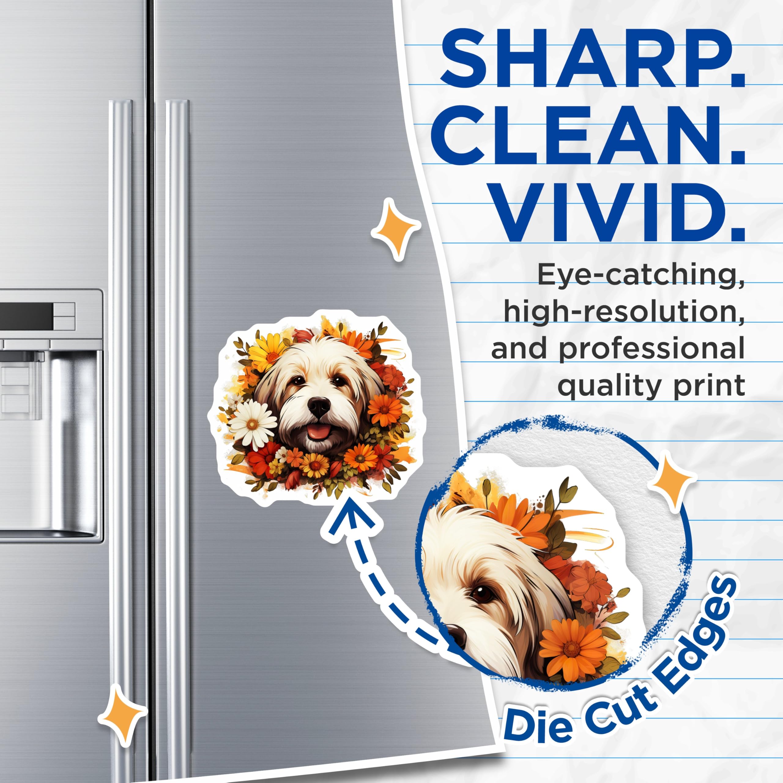 (2 Pack) Havanese Dog Magnets - Floral Puppy Fall Decor - Pet Lover Refrigerator Magnets - 5 Inches On Longest Side - Thick Durable Magnet - Made in USA - MAG30541