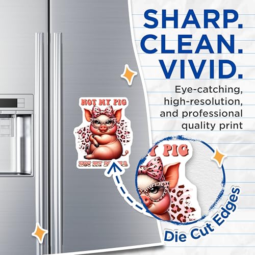 (2 Pack) Not My Pig Not My Drama Magnets - 5" On Longest Side - for Cars, Fridges, Toolboxes - Made in USA - MAG7935