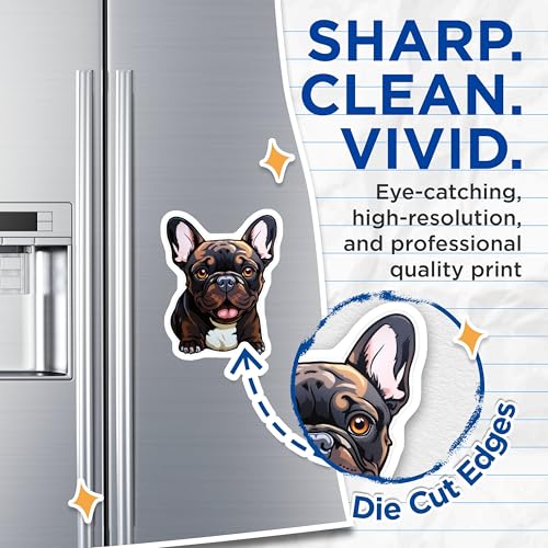 (2 Pack) French Bulldog Magnets - Cute Dog ations - Animal Lovers - Home - 5" On Longest Side - for Cars, Fridges, Toolboxes - Made in USA - MAG3933