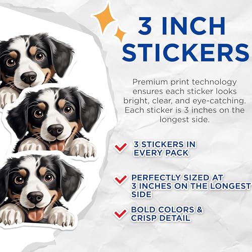 (3 Pack) Bernese Mountain Dog Decals - Cute Dog Stickers - Puppy Laptop Decal - 3 Inches On Longest Side - Easy Peel & Apply - Made in USA - 3MCS8598