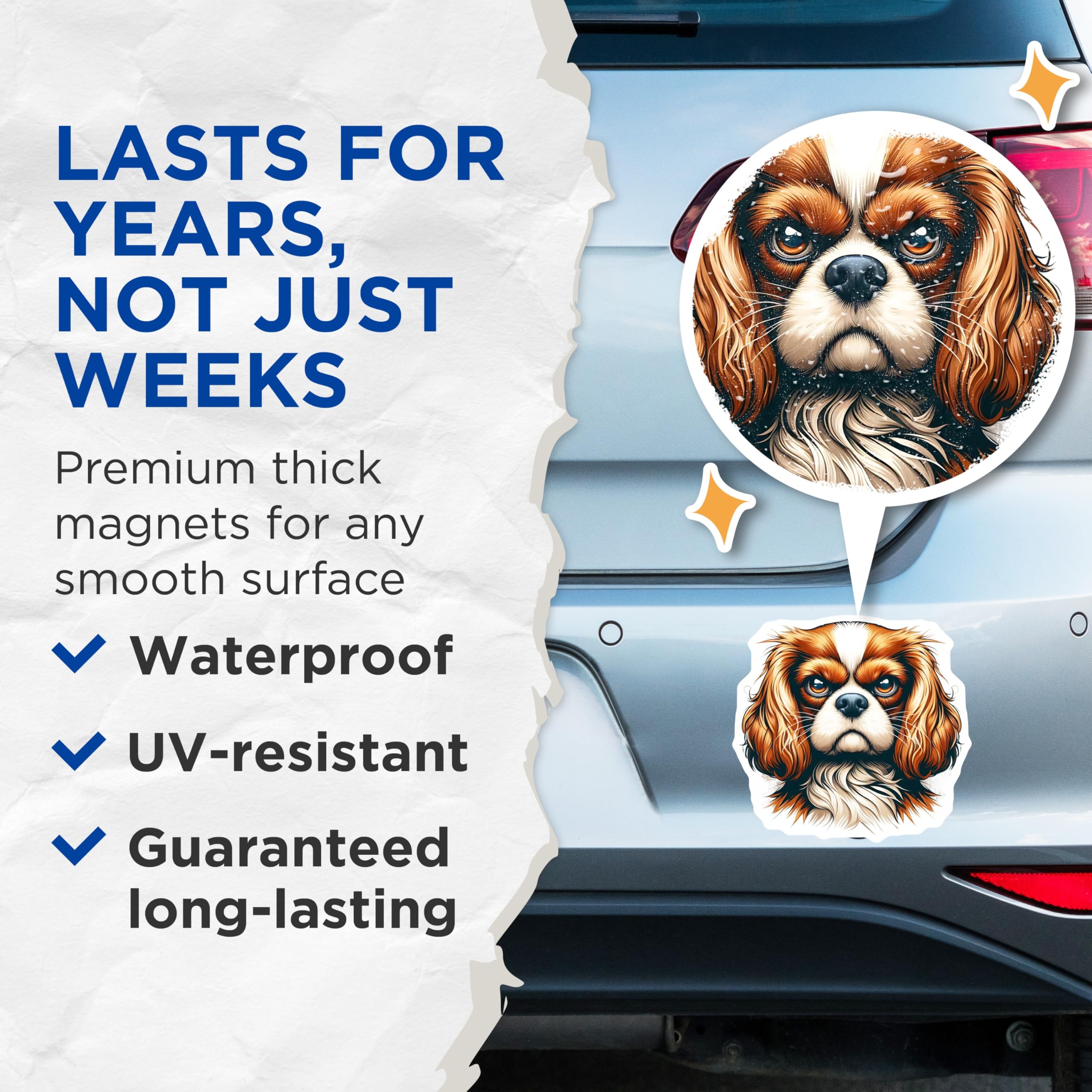 (2 Pack) Cavalier Spaniel Magnets - Dog Breed Art - Fridge Decor - 5" On Longest Side - Premium Magnet - for Cars, Refrigerators, Toolboxes, Lockers - Made in USA - MAG14684