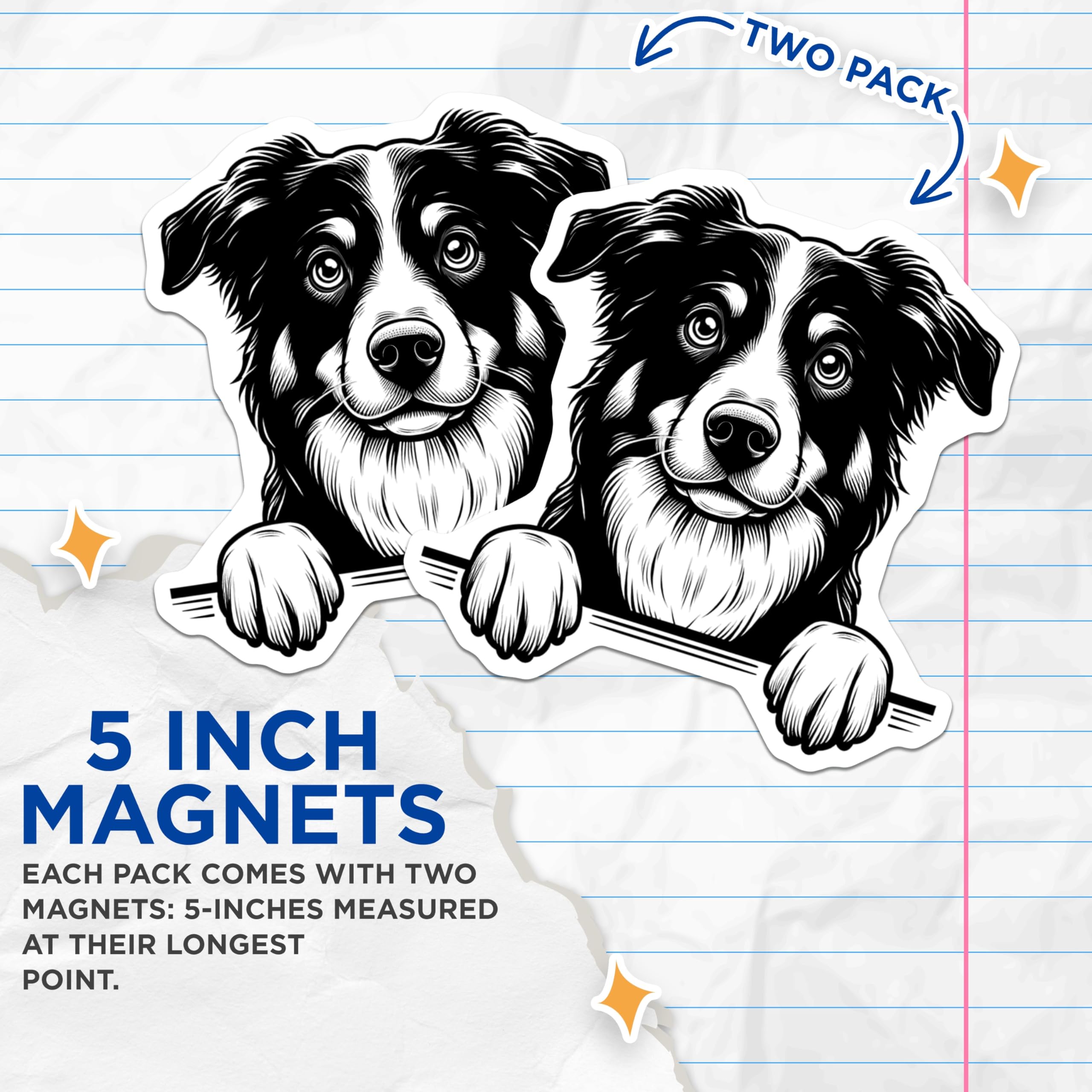 (2 Pack) Border Collie Magnets - Dog Breed Art - Refrigerator Magnets for Dog Lovers - 5" On Longest Side - Premium Magnet - for Cars, Refrigerators, Toolboxes, Lockers - Made in USA - MAG14725