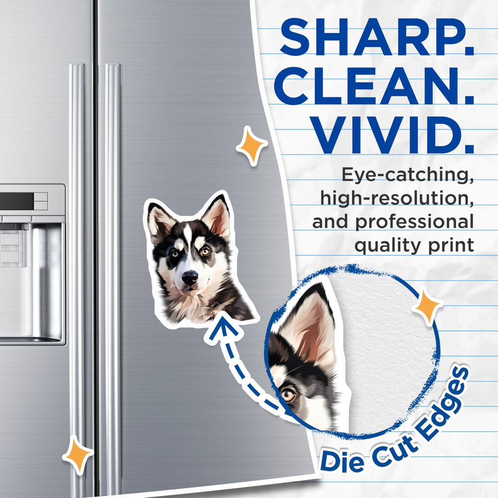 (2 Pack) Husky Dog Magnets - Siberian Dog Lover Decor - Pet Fridge Art - Heterochromia Eyes - 5 Inches On Longest Side - Thick Durable Magnet - Made in USA - MAG27261