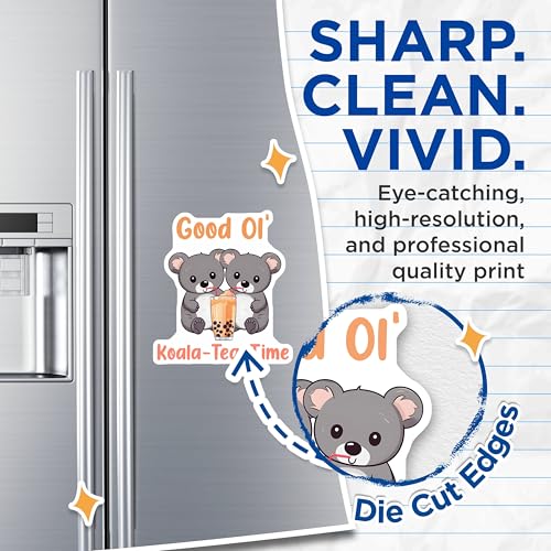 (2 Pack) Koala Magnets - 5" On Longest Side - for Cars, Fridges, Toolboxes - Made in USA - MAG7742