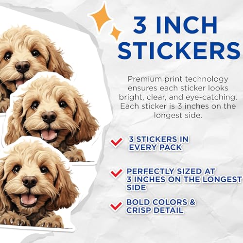 (3 Pack) Cockapoo Decals - Laptop Dog Decal - Cute Puppy Stickers - 3 Inches On Longest Side - Easy Peel & Apply - Made in USA - 3MCS8701