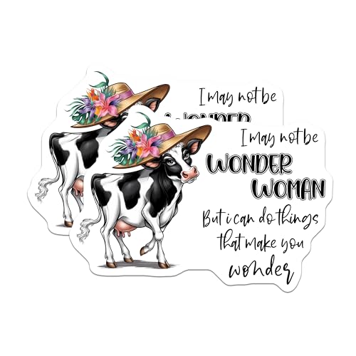 (2 Pack) Funny Quotes Magnet - 5" On Longest Side - Sticks to Smooth Flat Surfaces - Made in USA - MAG9812