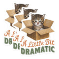 (3 Pack) Dramatic Kitten Decals - Cat in Box - Funny Cat Laptop Decal - 3 Inches On Longest Side - Easy Peel & Apply - Made in USA - 3MCS4692