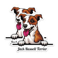 (2 Pack) Jack Russell Terrier Stickers - Cute Dog Stickers - Pet Lover Stickers - 5" On Longest Side - Sticks to Smooth Flat Surfaces - Made in USA - BMCS4212