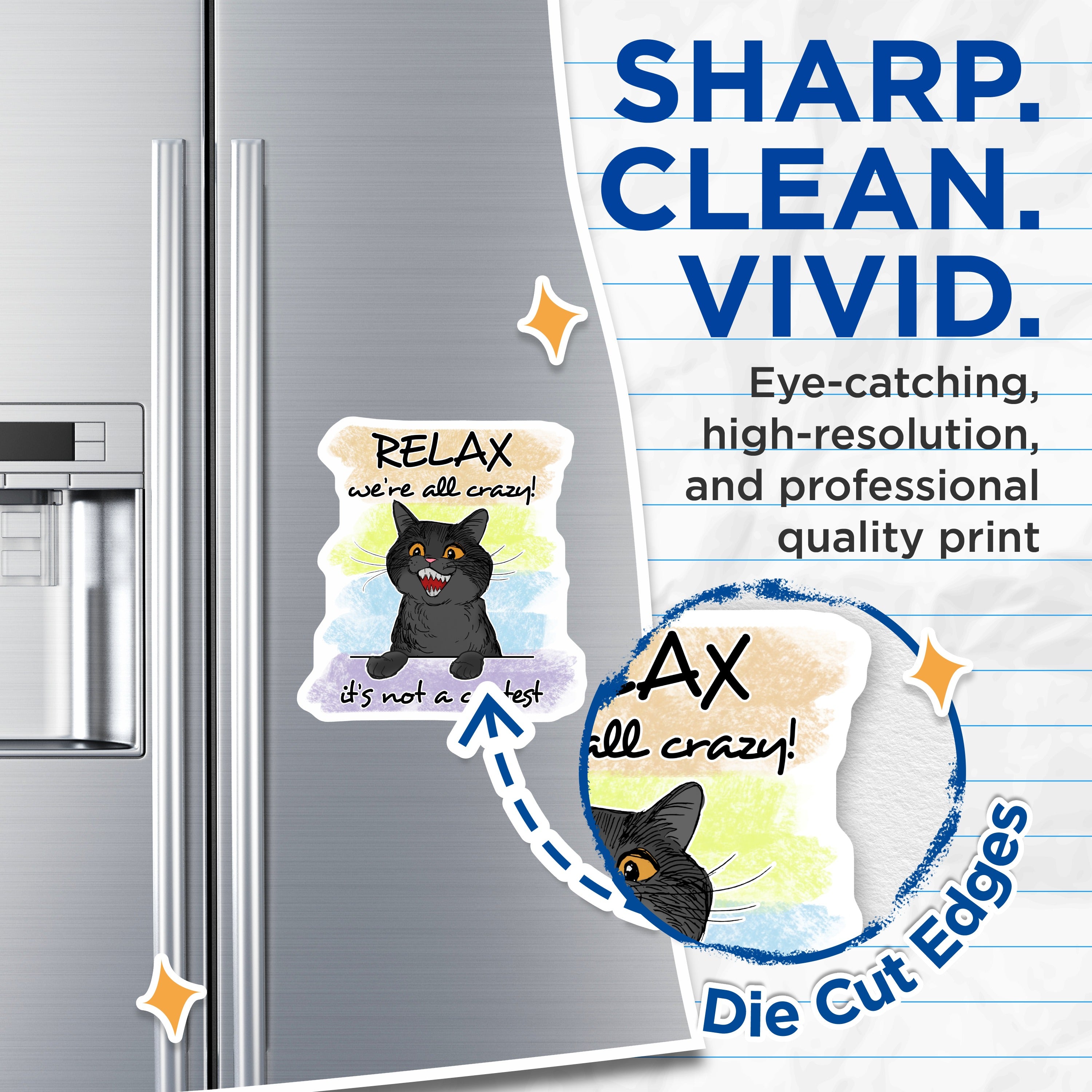 (2 Pack) Funny Cat Magnets - Crazy Cat Lady Decor - Refrigerator Office Locker Magnets - Relatable Humor Quirky Cat Art - 5 Inches On Longest Side - Thick Durable Magnet - Made in USA - MAG38498