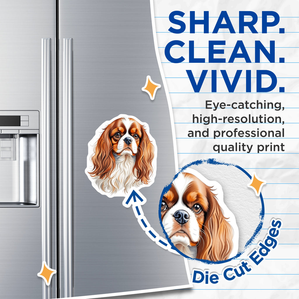 (2 Pack) Cavalier King Charles Spaniel Magnets - Dog Lover Fridge Decor - Pet Owner Kitchen Accent - 5 Inches On Longest Side - Thick Durable Magnet - Made in USA - MAG38924