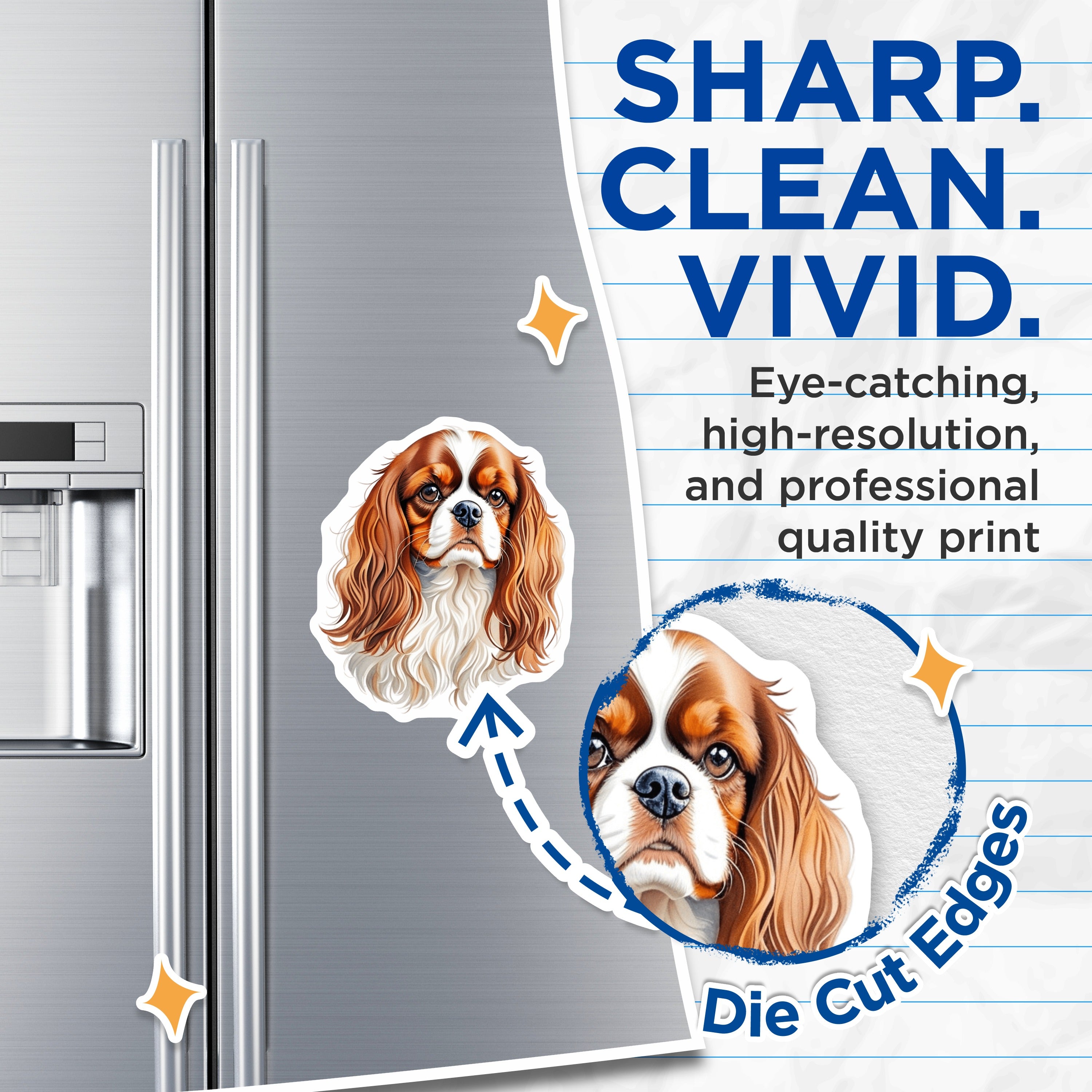 (2 Pack) Cavalier King Charles Spaniel Magnets - Dog Lover Fridge Decor - Pet Owner Kitchen Accent - 5 Inches On Longest Side - Thick Durable Magnet - Made in USA - MAG38924