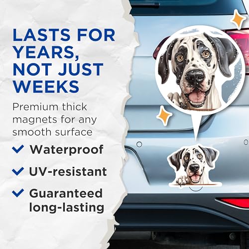 (2 Pack) Animal Lover Decor Magnet - 5" On Longest Side - Sticks to Smooth Flat Surfaces - Made in USA - MAG10185