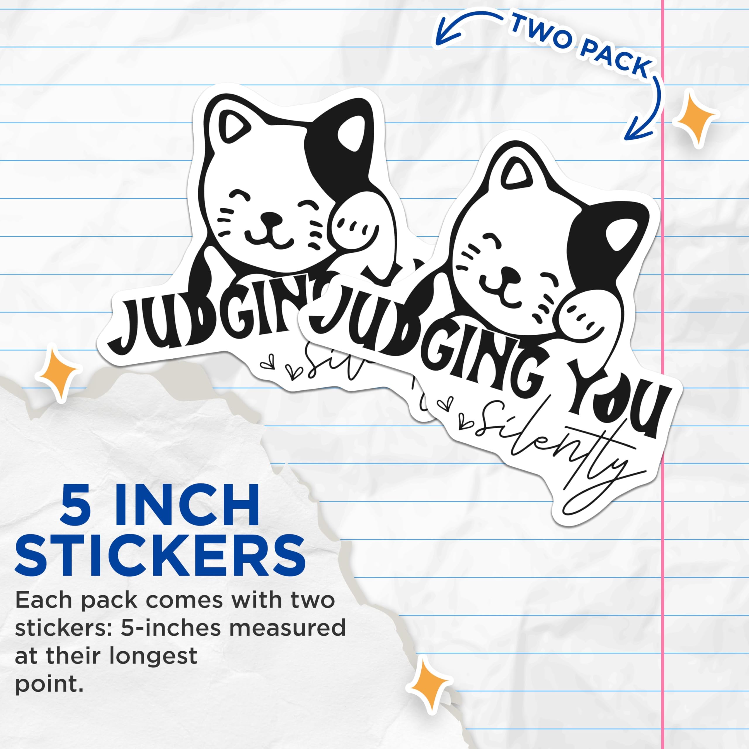 (2 Pack) Judging You Silently Stickers - Cute Cat Stickers - Funny Cat Meme Stickers - 5" On Longest Side - Sticks to Smooth Flat Surfaces - Made in USA - BMCS5117
