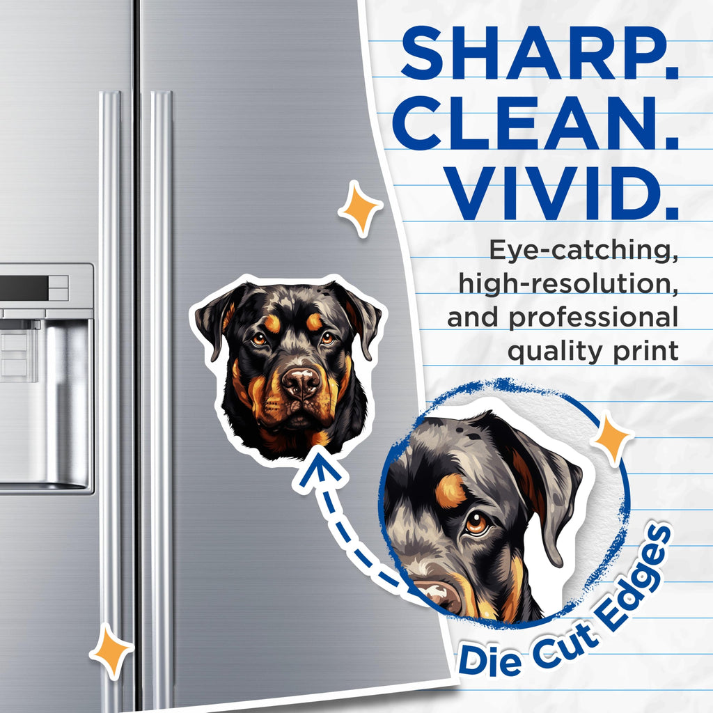 (2 Pack) Rottweiler Magnets - Dog Lover Refrigerator Decor - Rottie Canine Art - 5 Inches On Longest Side - Thick Durable Magnet - Made in USA - MAG27519