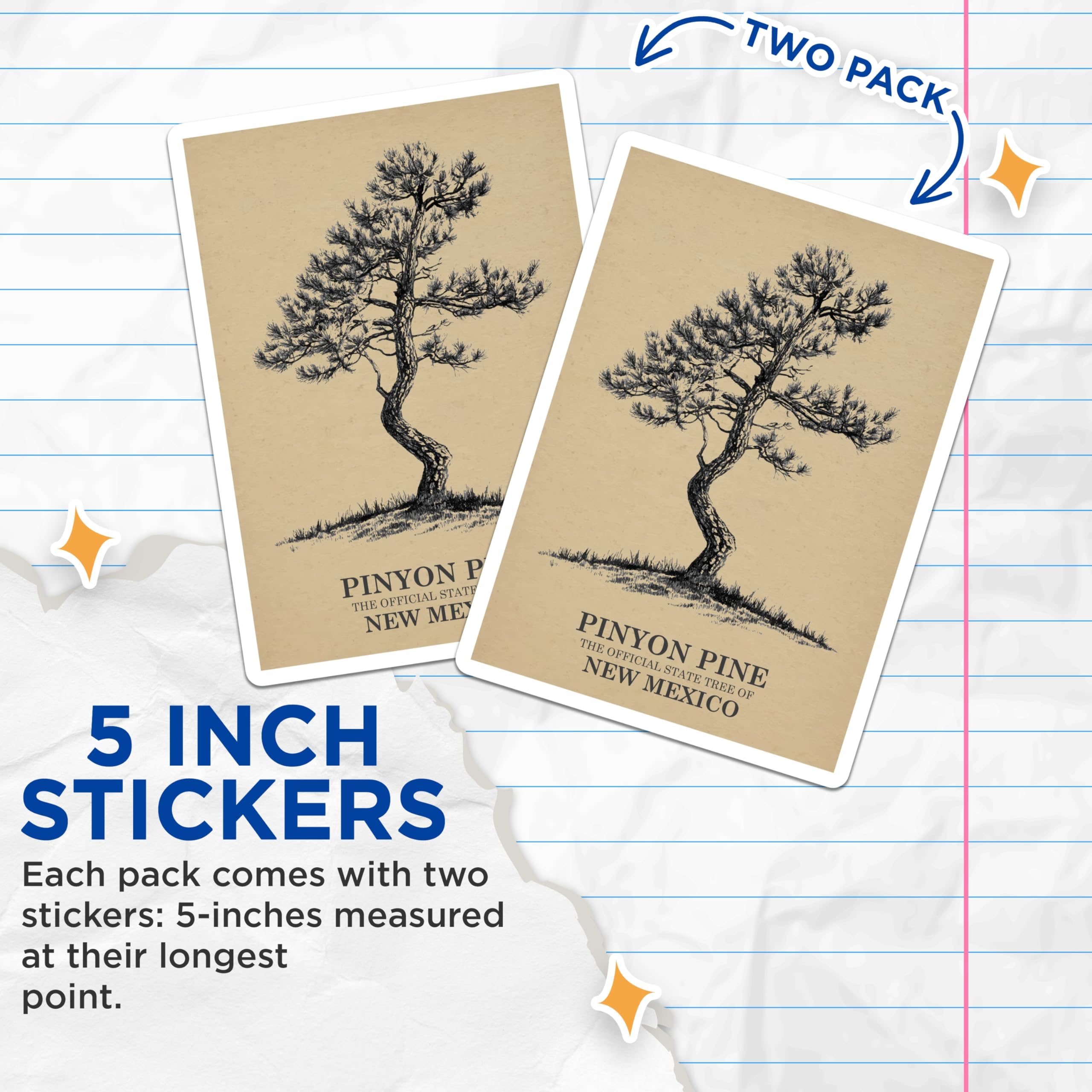 (2 Pack) Pinyon Pine Stickers - New Mexico State Tree - Nature Stickers - 5" On Longest Side - Sticks to Smooth Flat Surfaces - Made in USA - BMCS18592