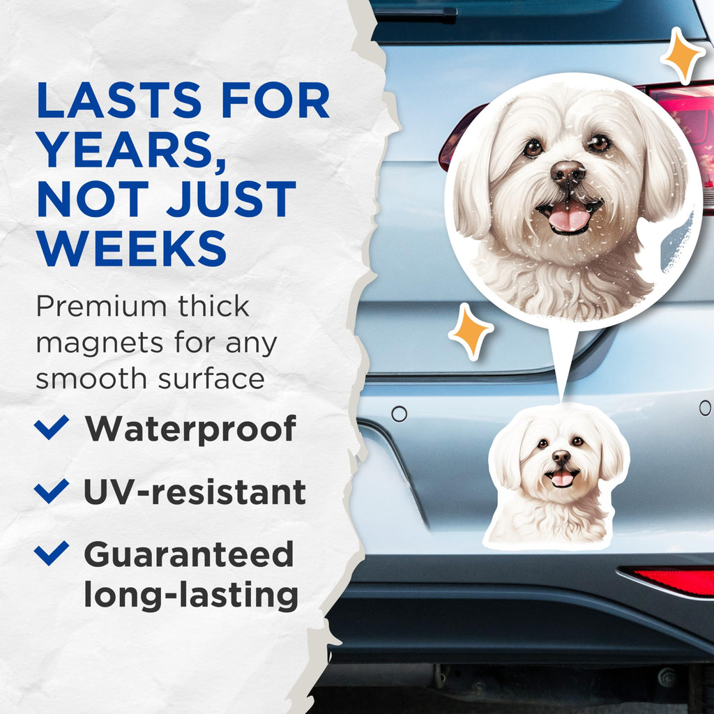 (2 Pack) Maltese Dog Magnets - Cute White Fluffy Dog - Pet Lover Fridge Locker Decoration - 5 Inches On Longest Side - Thick Durable Magnet - Made in USA - MAG29223