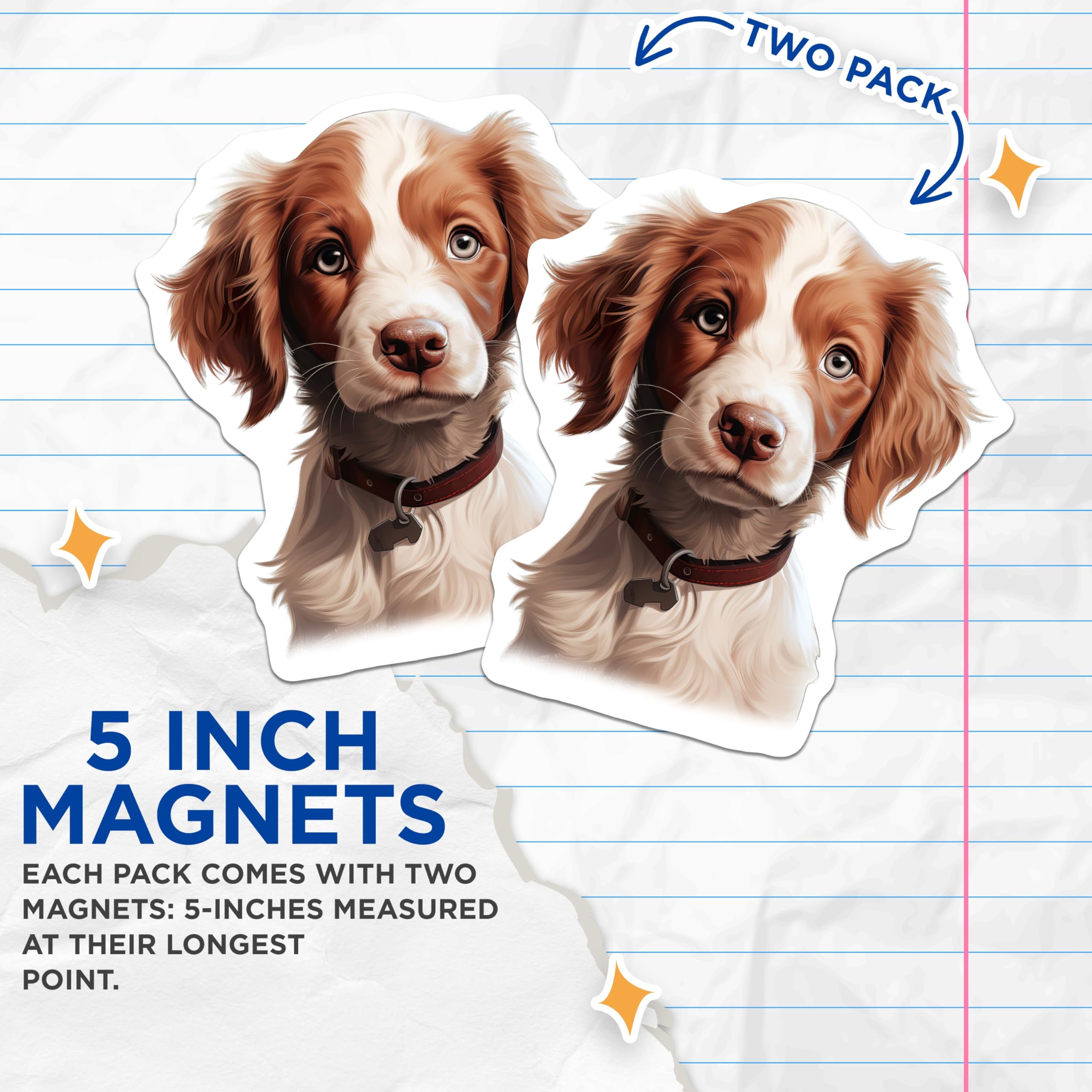 (2 Pack) Brittany Spaniel Magnets - Cute Puppy Fridge Decor - Dog Mom Animal Lover Item - 5 Inches On Longest Side - Thick Durable Magnet - Made in USA - MAG29209