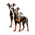 (2 Pack) Doberman Pinscher Magnets - Dog Lover Kitchen Decor - Pet Parent Refrigerator Magnets - 5 Inches On Longest Side - Thick Durable Magnet - Made in USA - MAG28448