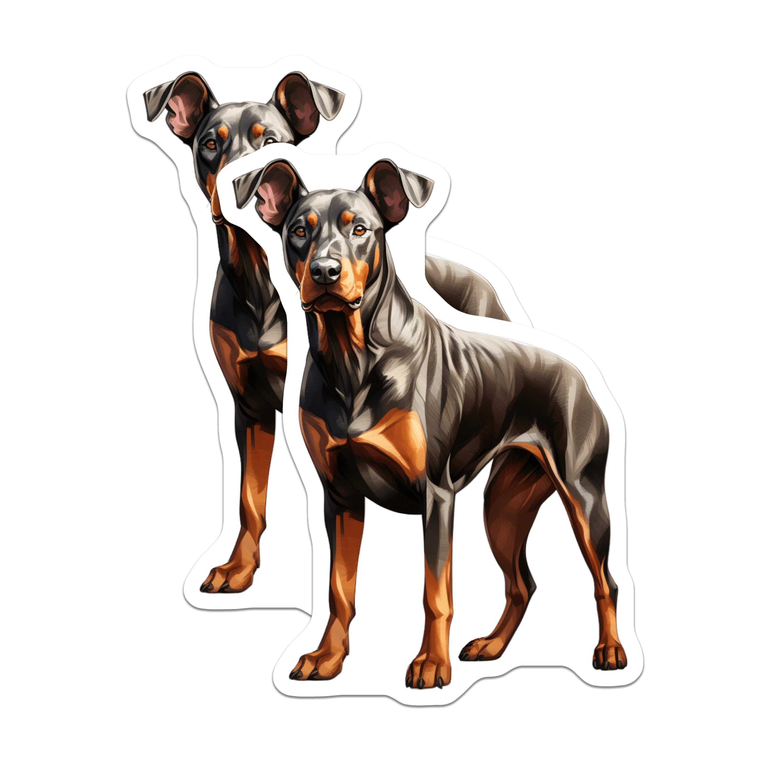 (2 Pack) Doberman Pinscher Magnets - Dog Lover Kitchen Decor - Pet Parent Refrigerator Magnets - 5 Inches On Longest Side - Thick Durable Magnet - Made in USA - MAG28448