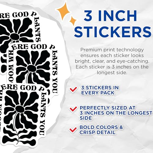 (3 Pack) Bloom Where God Plants You Decals - Floral Laptop Decal - Positive Quote Decal - 3 Inches On Longest Side - Easy Peel & Apply - Made in USA - 3MCS1877