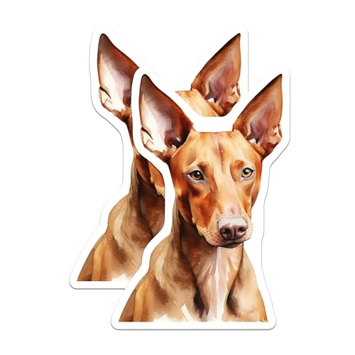(2 Pack) Ibizan Hound Magnets - Watercolor Dog Lover Decor - Sighthound Kitchen Accent - 5 Inches On Longest Side - Thick Durable Magnet - Made in USA - MAG29772