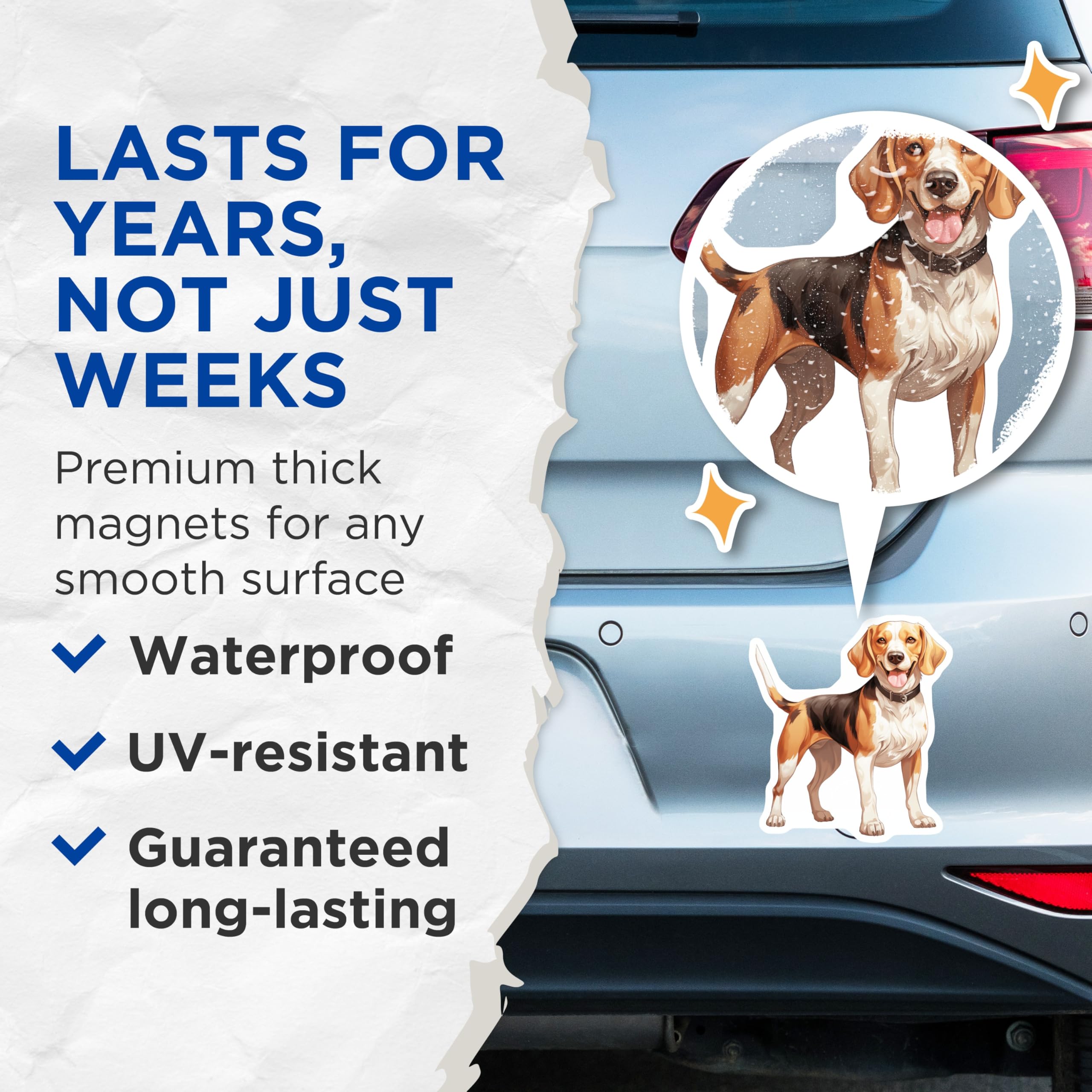 (2 Pack) Happy Beagle Dog Magnets - Cute Pet Lover Refrigerator Decor - Smiling Hound Animal Art Collectible - 5 Inches On Longest Side - Thick Durable Magnet - Made in USA - MAG29324