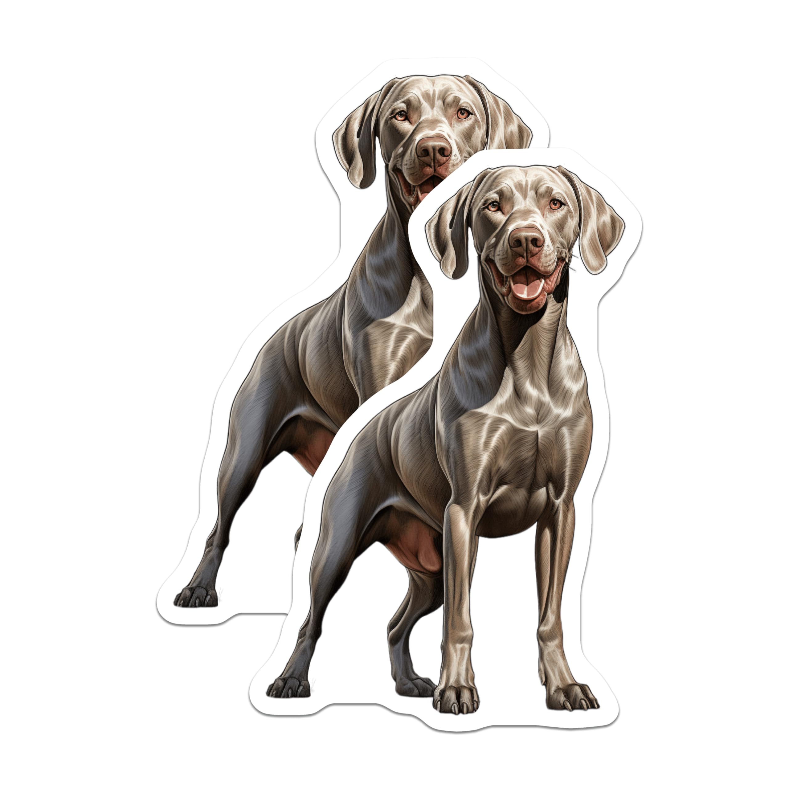 (2 Pack) Weimaraner Magnets - Lifelike Dog Breed Art - Pet Lover Refrigerator Decor - Dog Mom Accessory - 5 Inches On Longest Side - Thick Durable Magnet - Made in USA - MAG28872