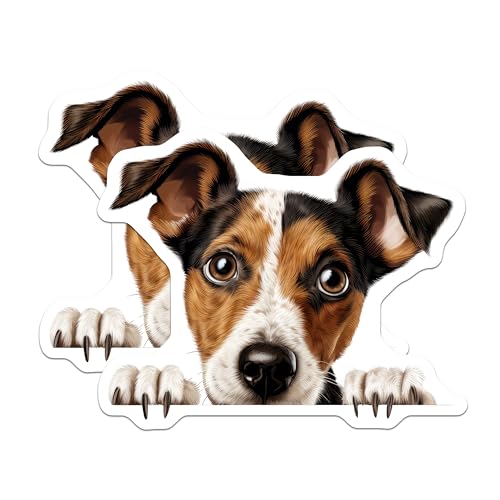 (2 Pack) Animal Fridge Decor Magnet - 5" On Longest Side - Sticks to Smooth Flat Surfaces - Made in USA - MAG10283