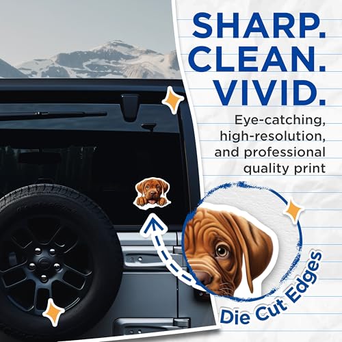 (2 Pack) Adorable Dog Stickers - Cute Puppy Illustration - Animal Lover Decals - 5" On Longest Side - Sticks to Smooth Flat Surfaces - Made in USA - BMCS9970