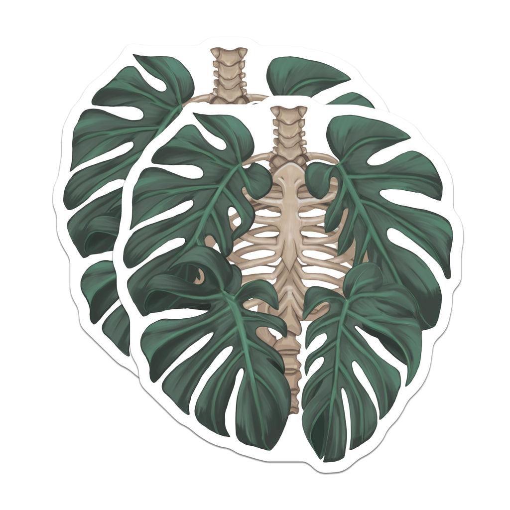 (2 Pack) Monstera Skeleton Magnets - Botanical Anatomy Decor - Unique Fridge Accessories - 5 Inches On Longest Side - Thick Durable Magnet - Made in USA - MAG19067