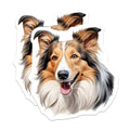 (2 Pack) Shetland Sheepdog Magnets - Happy Sheltie Dog Art - Collie Lover Refrigerator Decor - 5 Inches On Longest Side - Thick Durable Magnet - Made in USA - MAG26398