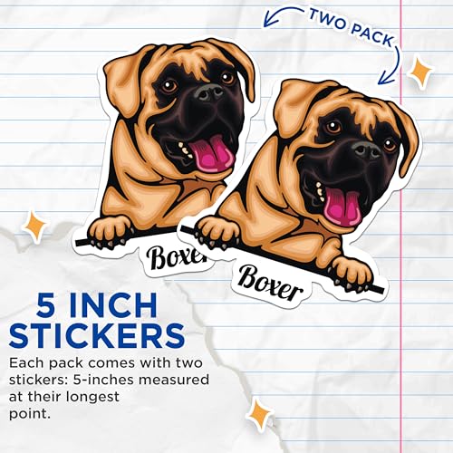(2 Pack) Boxer Dog Stickers - Cute Dog Art Stickers - Boxer Breed Decal - 5" On Longest Side - Sticks to Smooth Flat Surfaces - Made in USA - BMCS4211