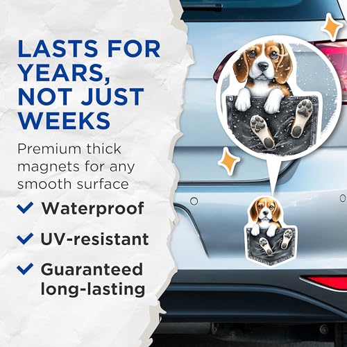 (2 Pack) Cute Puppy Magnets - Dog Refrigerator Magnets - Beagle Novelty Magnets for Fridge or Locker - 5" On Longest Side - for Cars, Fridges, Toolboxes - Made in USA - MAG3871