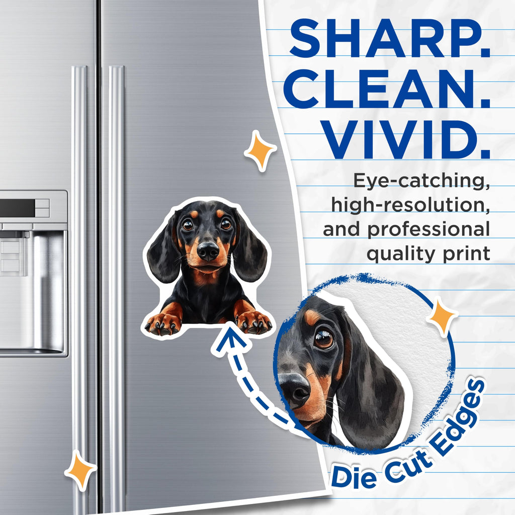 (2 Pack) Dachshund Magnets - Cute Dog Magnets - Pet Lover Fridge Decor - 5" On Longest Side - Premium Magnet - for Cars, Refrigerators, Toolboxes, Lockers - Made in USA - MAG14167