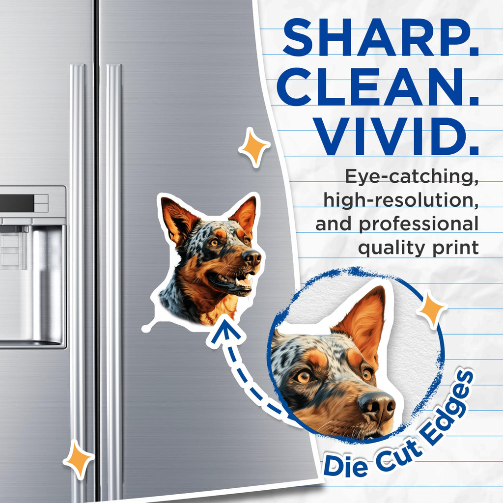 (2 Pack) Australian Cattle Dog Magnets - Blue Heeler Refrigerator Magnet - Farm Dog Art Decoration - Dog Breed Kitchen Decor - 5 Inches On Longest Side - Thick Durable Magnet - Made in USA - MAG24284