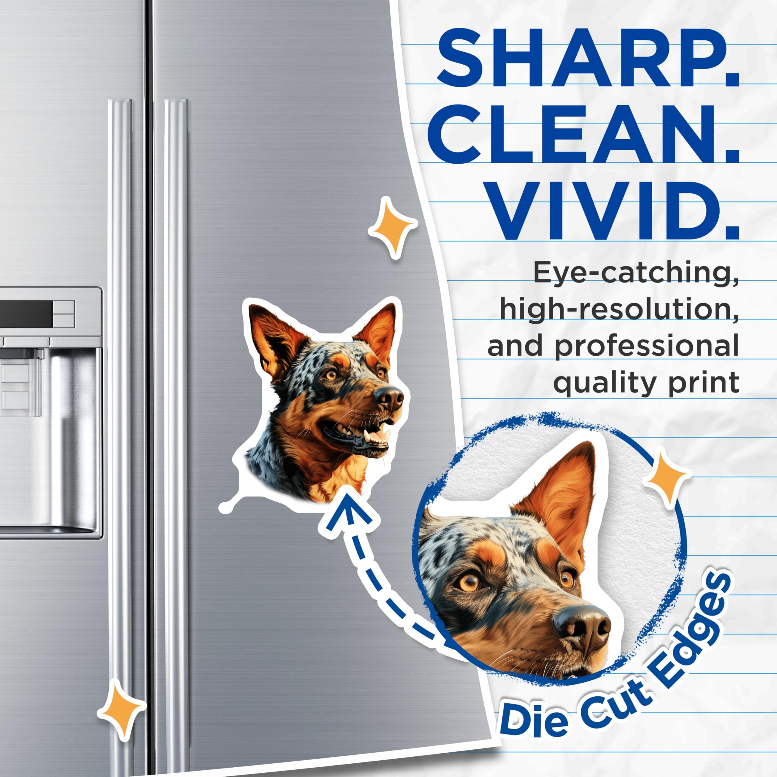 (2 Pack) Australian Cattle Dog Magnets - Blue Heeler Refrigerator Magnet - Farm Dog Art Decoration - Dog Breed Kitchen Decor - 5 Inches On Longest Side - Thick Durable Magnet - Made in USA - MAG24284