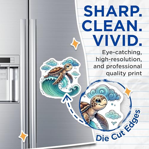 (2 Pack) Ocean Animal Decor Magnet - Cute Sea Creature - 5" On Longest Side - Sticks to Smooth Flat Surfaces - Made in USA - MAG10104
