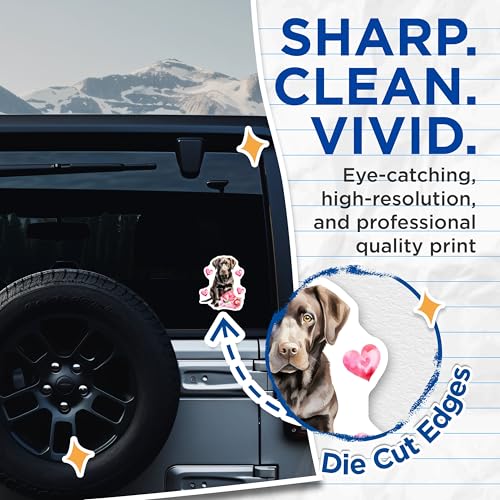 (2 Pack) Cute Labrador Dog Stickers - Love Heart Dog Stickers - Dog Lovers Decal - 5" On Longest Side - Sticks to Any Smooth Flat Surface - Made in USA - BMCS3516