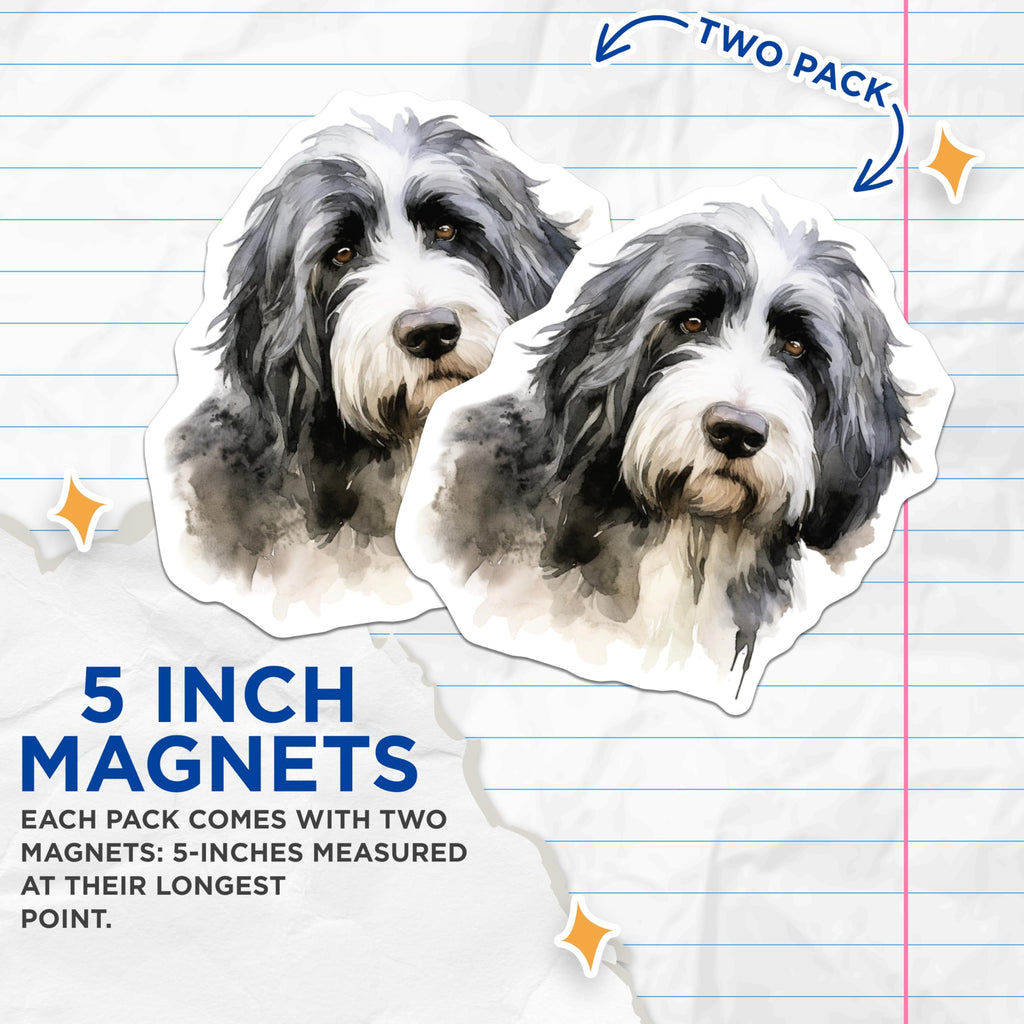 (2 Pack) Bearded Collie Dog Magnets - Detailed Watercolor Canine Portrait Art - Unique Pet Lover Home Refrigerator Magnets - 5 Inches On Longest Side - Thick Durable Magnet - Made in USA - MAG24221