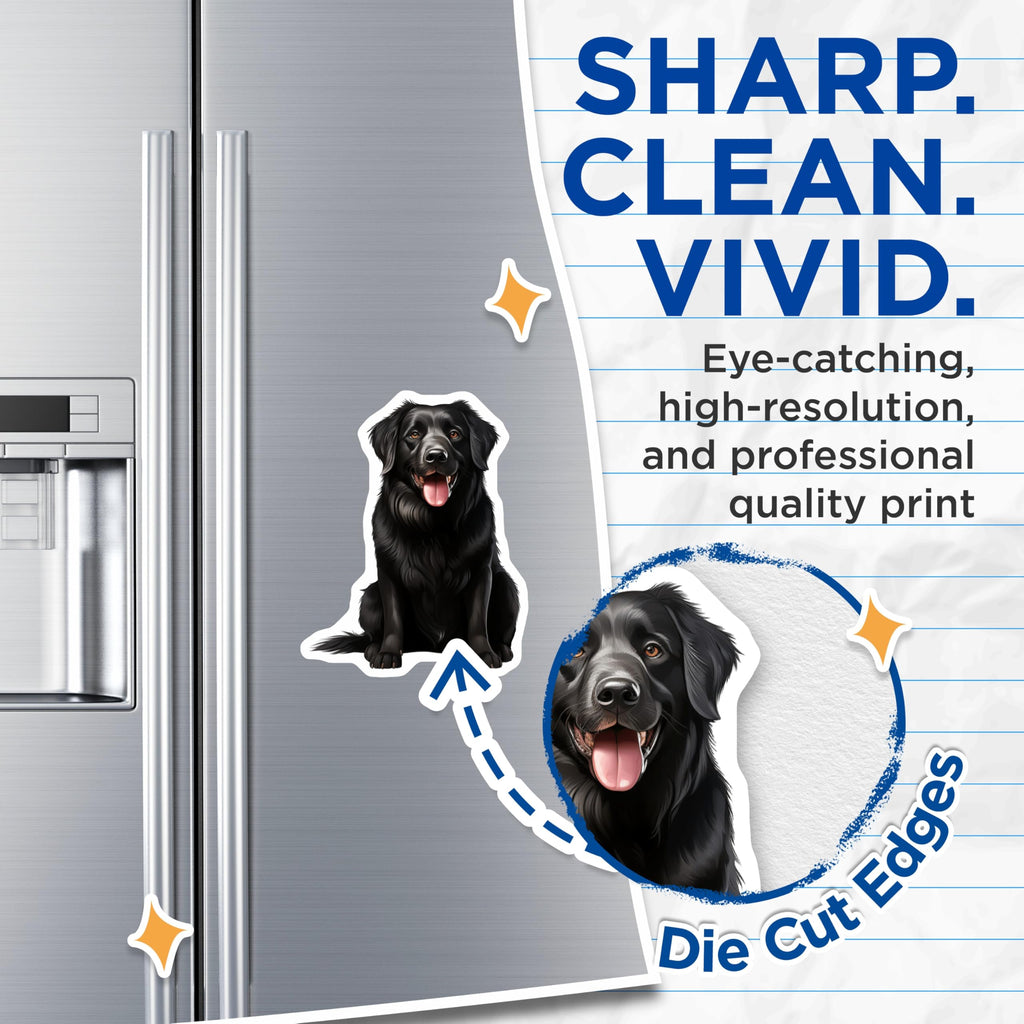 (2 Pack) Black Labrador Retriever Magnets - Happy Dog Lover Kitchen Decor - Canine Portrait Refrigerator Magnets - 5 Inches On Longest Side - Thick Durable Magnet - Made in USA - MAG28246