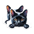 (2 Pack) Black Cat Magnets - Cute Kitten Art - Refrigerator Magnets - 5" On Longest Side - Premium Magnet - for Cars, Refrigerators, Toolboxes, Lockers - Made in USA - MAG14376