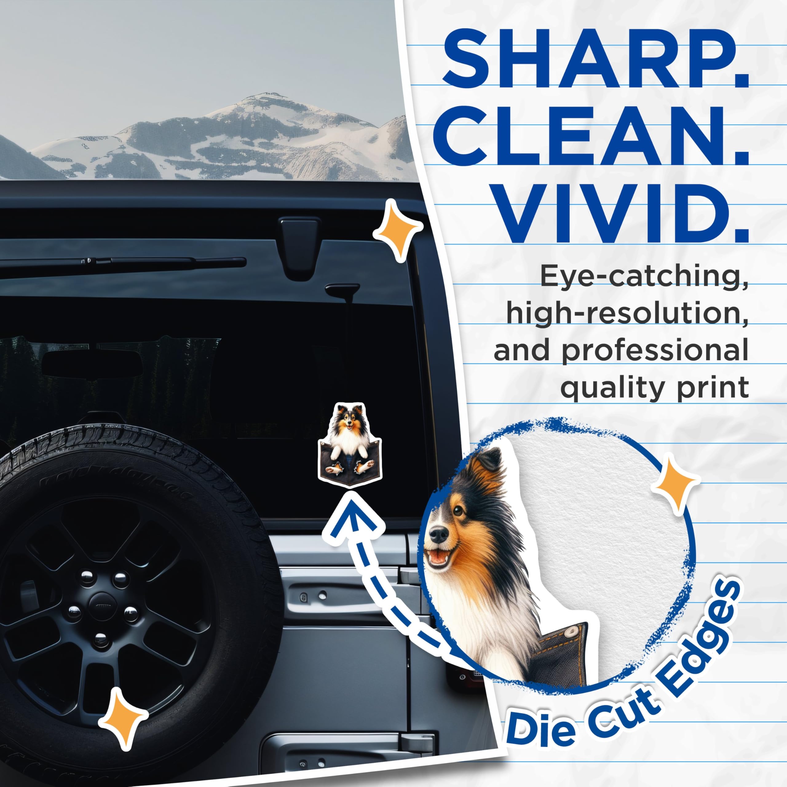 (2 Pack) Cute Sheltie Dog Stickers - Sheltie Art - Cute Dog Lover Decals - - 5" On Longest Side - Sticks to Smooth Flat Surfaces - Made in USA - BMCS4400