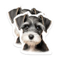 (2 Pack) Miniature Schnauzer Magnets - Cute Puppy Decor - Dog Lover Collectibles - 5 Inches On Longest Side - Thick Durable Magnet - Made in USA - MAG23721