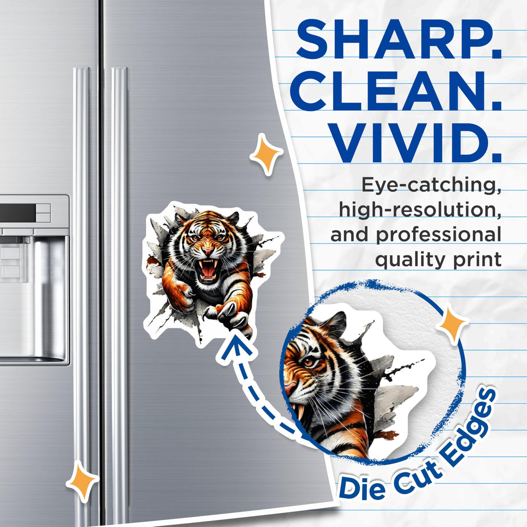 (2 Pack) Roaring Tiger Magnets - Animal Burst Art - Wild Cat Fridge Decor - 5 Inches On Longest Side - Thick Durable Magnet - Made in USA - MAG22071